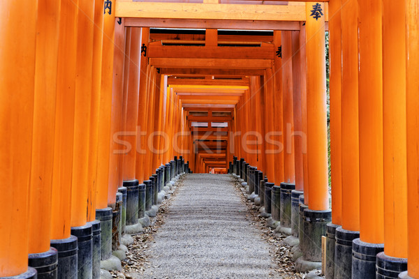 Schrein Japan orange rot japanisch Stock foto © cozyta