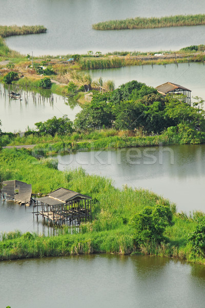 Rice terrace landscape in China  Stock photo © cozyta