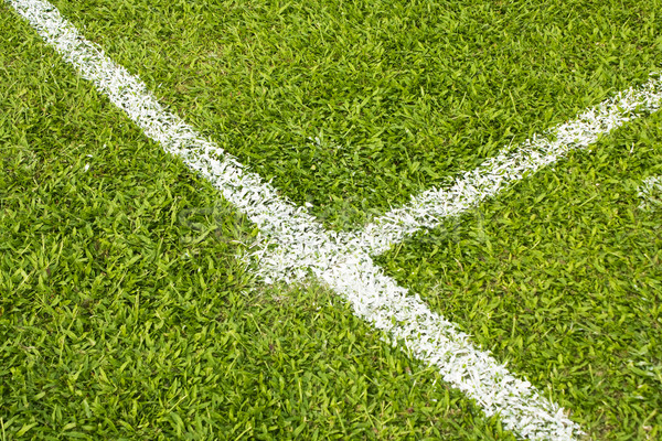 football field Stock photo © cozyta
