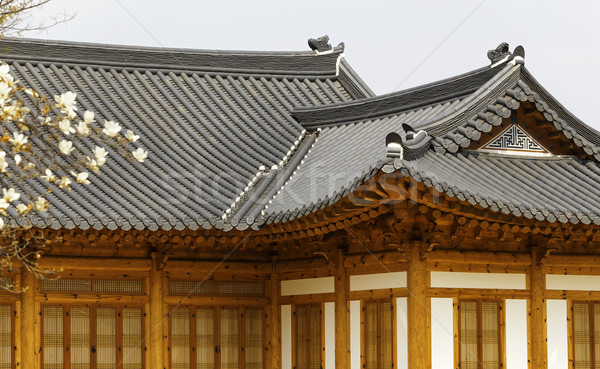 Budynku pałac Seul Korea Południowa zielone architektury Zdjęcia stock © cozyta