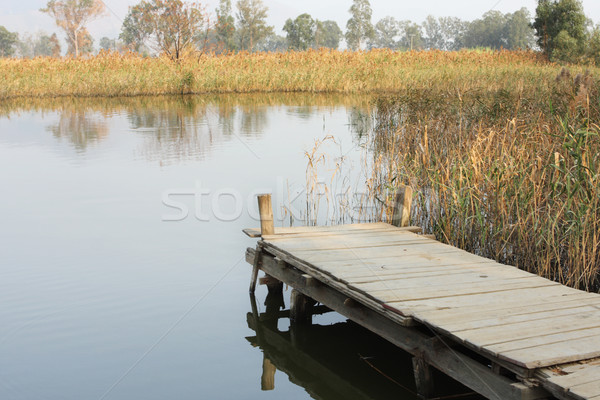 Jetty on a lake  Stock photo © cozyta