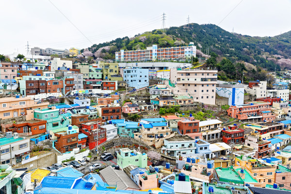 Gamcheon Culture Village in South Korea. Stock photo © cozyta