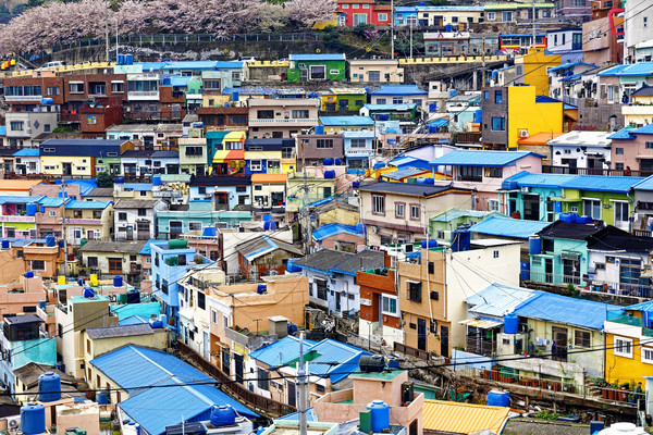Kültür köy Güney Kore şehir sokak boya Stok fotoğraf © cozyta