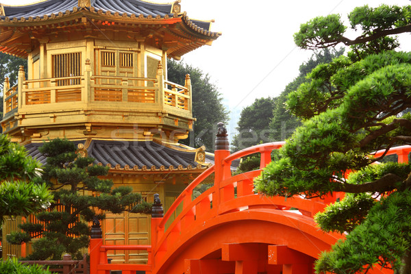 Orientalny złoty chińczyk ogród punkt orientacyjny Hongkong Zdjęcia stock © cozyta