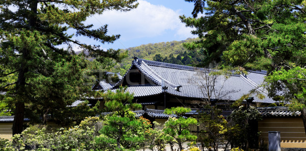 Tradycyjny domu Japonia dzień świetle Zdjęcia stock © cozyta