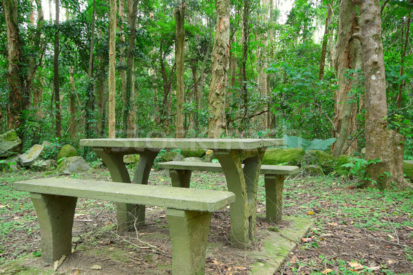 Picnic place in forest Stock photo © cozyta