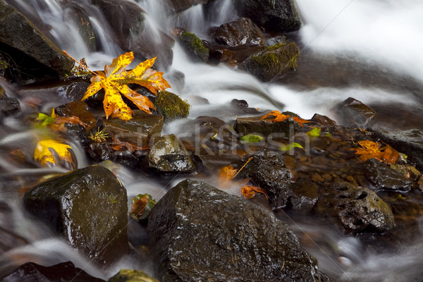 Toamnă cascadă natură stoc fotografie colorat Imagine de stoc © CrackerClips