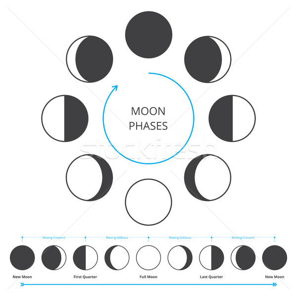 Maan iconen astronomie geheel cyclus nieuwe Stockfoto © creativika