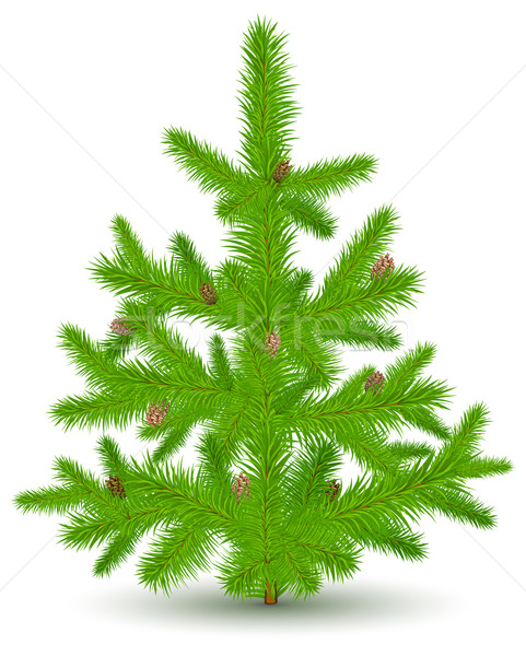 Christmas biały zielone odizolowany obiektu drewna Zdjęcia stock © creatOR76