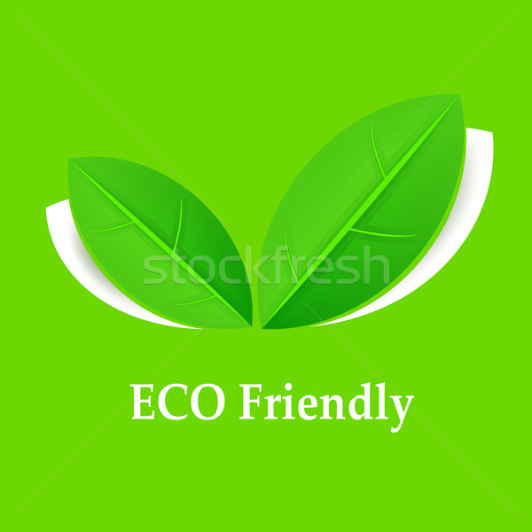 Milieuvriendelijk bladeren groene achtergrond label gezonde Stockfoto © creatOR76
