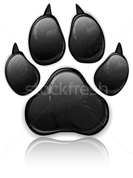 Paw Prints Stock photo © creatOR76