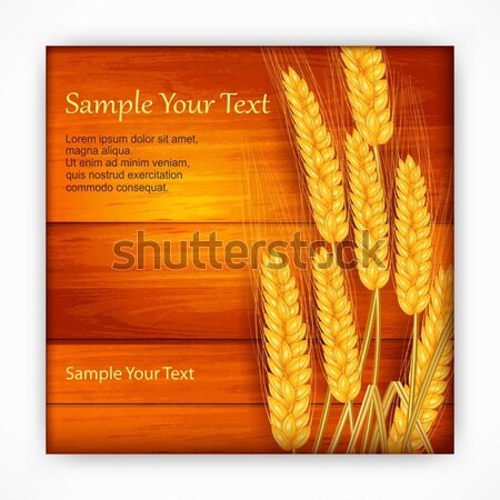 Ears of wheat on wooden Stock photo © creatOR76