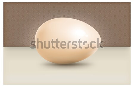 Large egg Stock photo © creatOR76