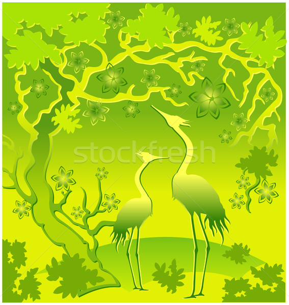 Herons in green Stock photo © creatOR76