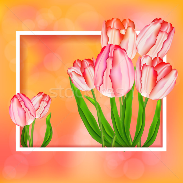 [[stock_photo]]: Mères · jour · carte · de · vœux · tulipes · rose