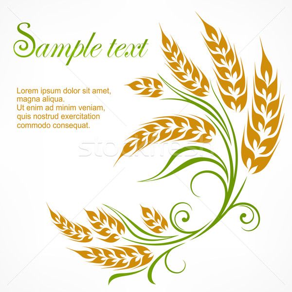 Stylized wheat pattern & text Stock photo © creatOR76