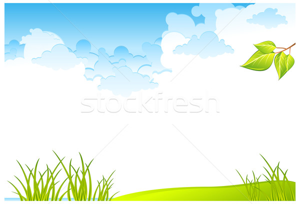 Grass field and sky Stock photo © creatOR76