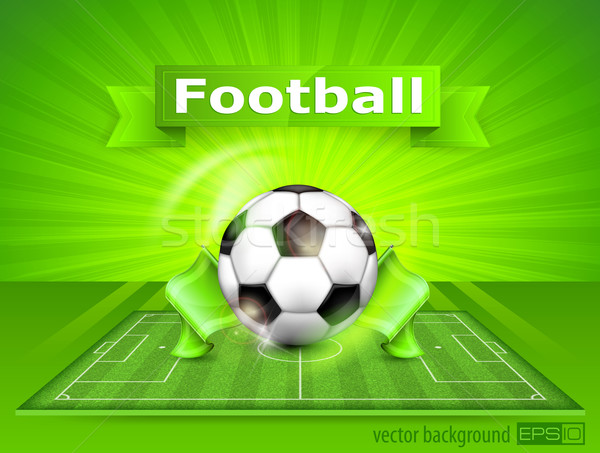 Piłka nożna boisko do piłki nożnej piłka tekst stadion zielona trawa Zdjęcia stock © creatOR76