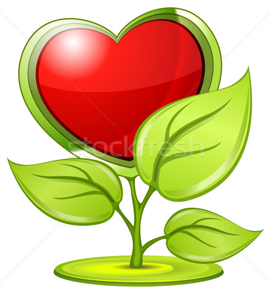Szeretet növény zöld szimbólum piros szív Stock fotó © creatOR76