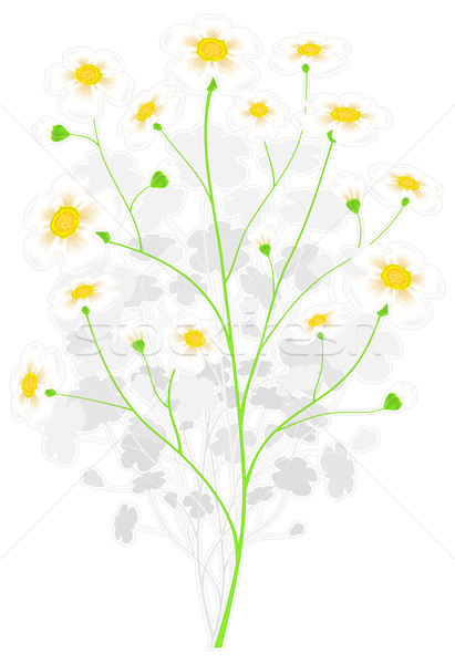Grünen Zweig gelben Blüten gelb Farbe Frühlingsblumen Stock foto © creatOR76