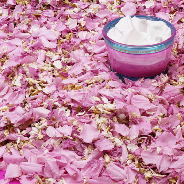 日本 櫻桃 奶油 粉紅色 花 葉 商業照片 © crisp