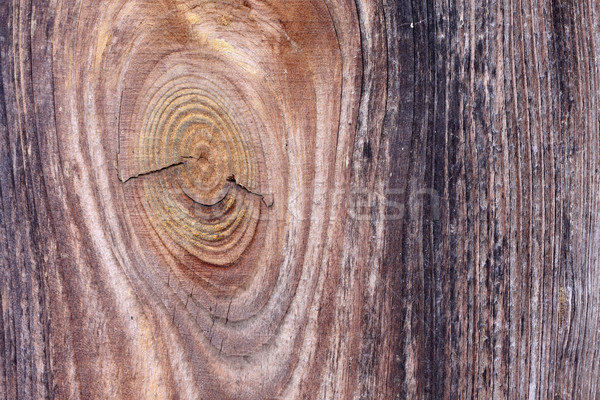 wood texture Stock photo © csakisti