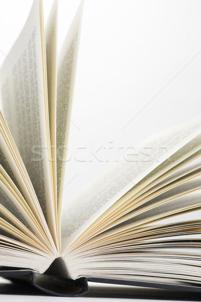 Livre blanche fond imprimer [[stock_photo]] © ctacik