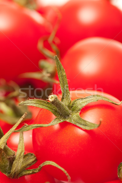 Paradicsomok friss piros zöld paradicsom mezőgazdaság Stock fotó © ctacik