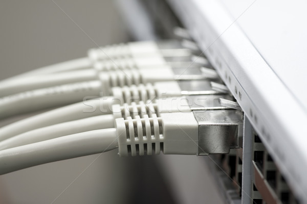 Lan cabluri comuta reţea afaceri lumina Imagine de stoc © ctacik