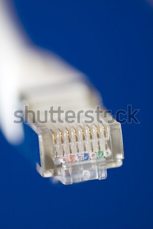 Sieci kabel biały komputera Internetu niebieski Zdjęcia stock © ctacik