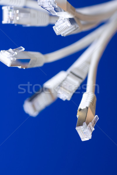 Reţea cabluri alb albastru calculator Internet Imagine de stoc © ctacik