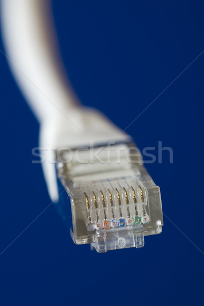 сеть кабеля белый компьютер интернет синий Сток-фото © ctacik