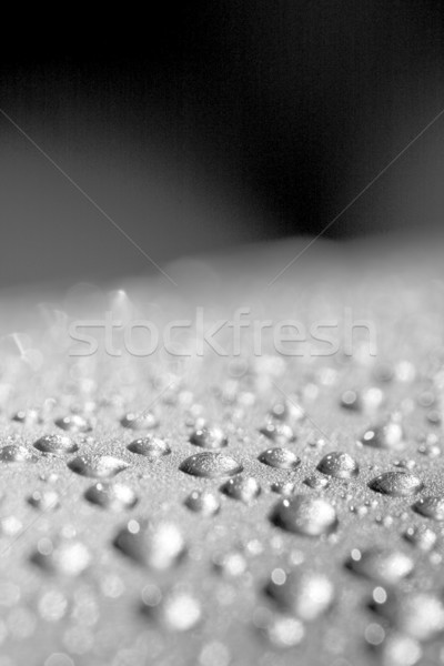 water drops Stock photo © ctacik