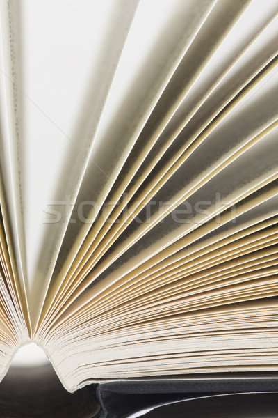 Könyv oldalak fehér közelkép háttér nyomtatott Stock fotó © ctacik