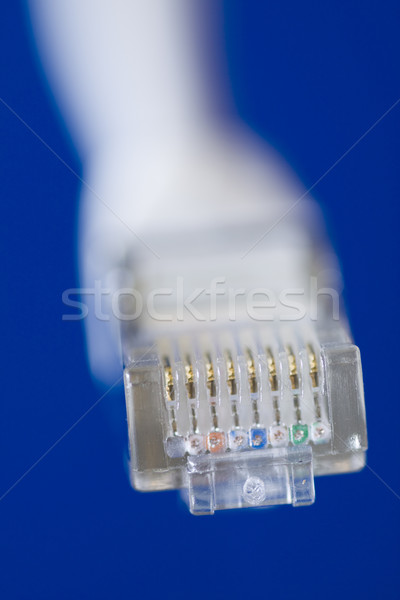 Sieci kabel biały komputera Internetu niebieski Zdjęcia stock © ctacik