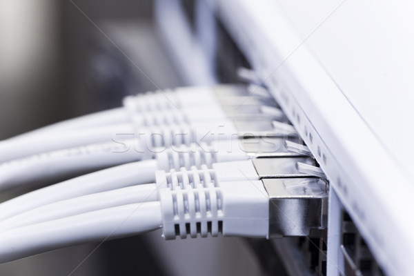 lan cables connected to a switch Stock photo © ctacik