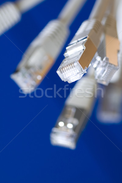 Stock photo: network cables