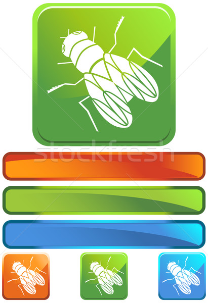Vliegen afbeelding huis bug vleugel bugs Stockfoto © cteconsulting