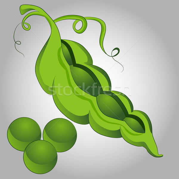 Pea Pod Cartoon Stock photo © cteconsulting