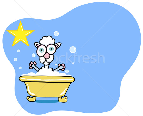 собака ванны звездой пудель собачий Сток-фото © cteconsulting