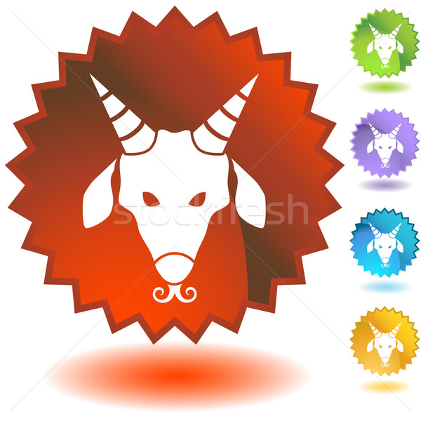 Zodiac - Capricorn Stock photo © cteconsulting