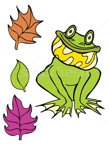 Frog Stock photo © cteconsulting