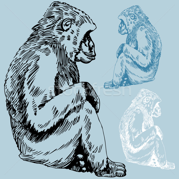 Aap tekening primaat hand zwarte Stockfoto © cteconsulting