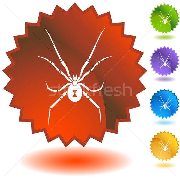 Spider изображение дизайна черный белый ошибка Сток-фото © cteconsulting