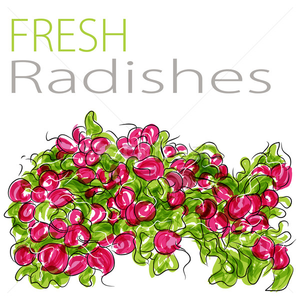 Fresh Radishes Stock photo © cteconsulting