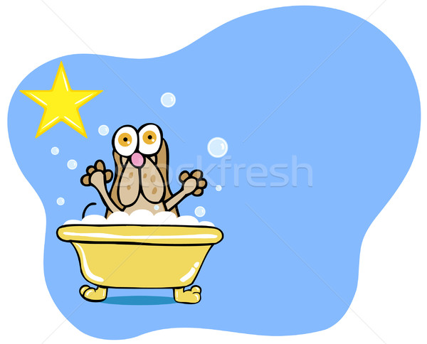 Kutya fürdőkád csillag vadászkutya kutyaféle élvezi Stock fotó © cteconsulting