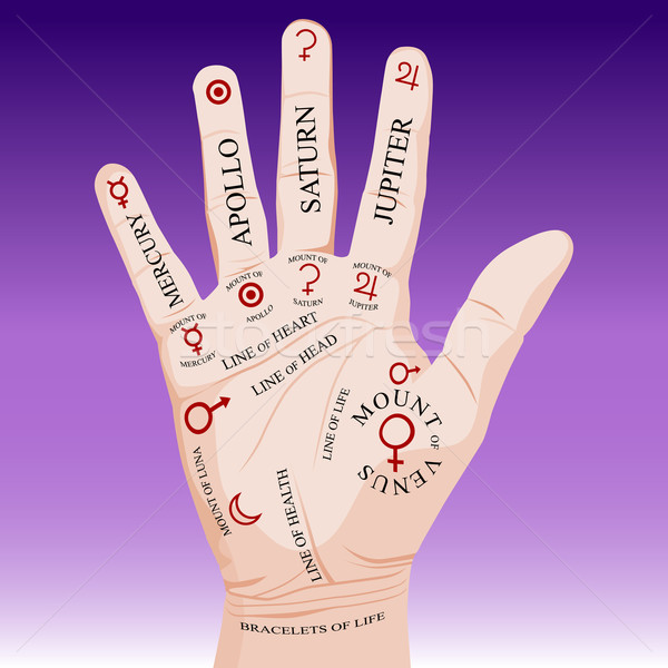 Palm Reading Palmistry Stock photo © cteconsulting