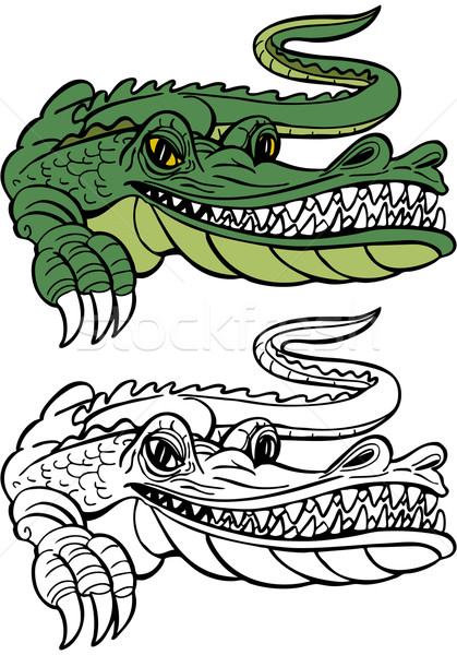Aligator cartoon charakter odizolowany biały zarówno Zdjęcia stock © cteconsulting