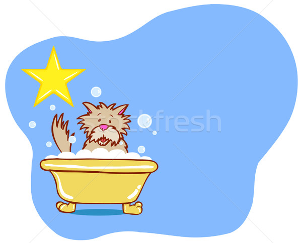 Psa kąpieli star terier psi Zdjęcia stock © cteconsulting