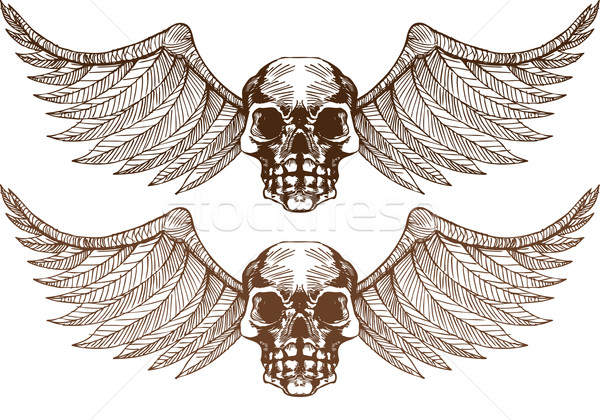 Winged Skulls Stock photo © cteconsulting